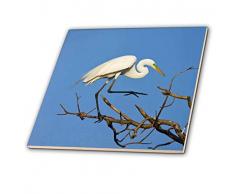 3dRose CT 94389 _ 4 Texas, Hohe Insel Rookery Kuhreiher Bird us44 bja0121 JAYNES Galerie Keramik Fliesen, 30,5 cm