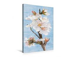 Calvendo Premium Textil-Leinwand 50 cm x 75 cm hoch, Mandelblütenzweig Algarve - Pastellkreide | Wandbild, Bild auf Keilrahmen, Fertigbild auf Echter Leinwand. mit Ihrer puren Schönheit Kunst Kunst