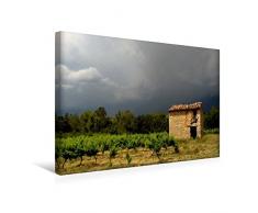 Premium Textil-Leinwand 45 x 30 cm Quer-Format Weinberg, Provence, Südfrankreich | Wandbild, HD-Bild auf Keilrahmen, Fertigbild auf hochwertigem Vlies, Leinwanddruck von N N