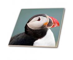 3dRose CT 81923 _ 2 Island, ingolfshofdi, Atlantic Papageientaucher EU14 bja0001 JAYNES Galerie Keramik Fliesen, 15,2 cm