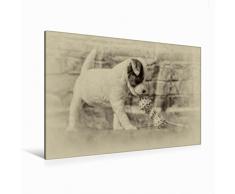 Premium Textil-Leinwand 120 x 80 cm Quer-Format Parson Jack Russell Welpe mit Spielzeug | Wandbild, HD-Bild auf Keilrahmen, Fertigbild auf hochwertigem Vlies, Leinwanddruck von Sonja TeÃen