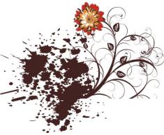 Indigos 4051719807172 Wandtattoo ME107 Party Tribal Ranke Blume Pflanze 80 x 64 cm