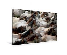 Premium Textil-Leinwand 90 x 60 cm Quer-Format Dülmener Wildpferde Herde | Wandbild, HD-Bild auf Keilrahmen, Fertigbild auf hochwertigem Vlies, Leinwanddruck von Barbara Mielewczyk