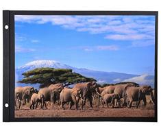 Exacompta Refill Ersatz für Fotoalbum Schraube und mit Schwarze Blätter, 22 x 31,5 cm, Farbe