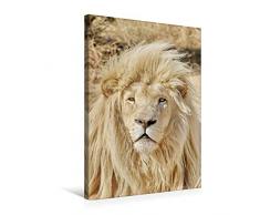 Premium Textil-Leinwand 50 x 75 cm Hoch-Format KATZEN PORTRAITS Weiße Löwen aus Afrika | Wandbild, HD-Bild auf Keilrahmen, Fertigbild auf hochwertigem Vlies, Leinwanddruck von N N