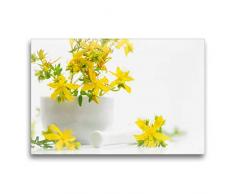 Premium Textil-Leinwand 75 x 50 cm Quer-Format Hypericum perforatum; Johanniskraut | Wandbild, HD-Bild auf Keilrahmen, Fertigbild auf hochwertigem Vlies, Leinwanddruck von Avianaarts Design Fotografie by Tanja Riedel