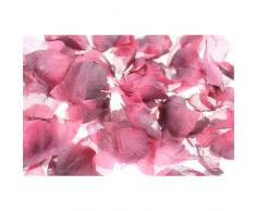 Firefly Imports Homeford Streudeko Rosenblätter, 400 Stück Rust