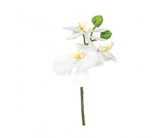 EUROCINSA Ref.86043C01 Mini Orchidee, Weiß, Box mit 12 Stück, 23 cm