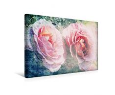 Premium Textil-Leinwand 45 x 30 cm Quer-Format Rosen Romantik - Sehnsucht | Wandbild, HD-Bild auf Keilrahmen, Fertigbild auf hochwertigem Vlies, Leinwanddruck von Martina Cross