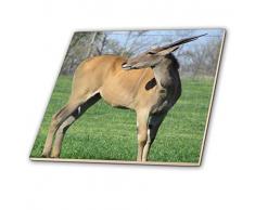 3dRose Antelope Familie – Keramik Fliesen, 6 (CT 195198 _ 2)
