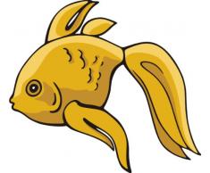 Indigos 4051719835540 Wandtattoo ME185 liebende Fische Karpfen Barsch Wasser Meer 96 x 87 cm