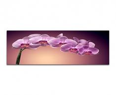 Panoramabild auf Leinwand und Keilrahmen 150x50cm Orchidee Blume GroÃaufnahme