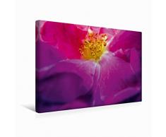 Premium Textil-Leinwand 45 x 30 cm Quer-Format FARBENHARMONIE Botanischer Garten Montreal | Wandbild, HD-Bild auf Keilrahmen, Fertigbild auf hochwertigem Vlies, Leinwanddruck von Philippe Henry