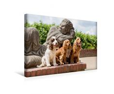 Premium Textil-Leinwand 45 x 30 cm Quer-Format drei Cocker sitzen vor einer Steinfigur | Wandbild, HD-Bild auf Keilrahmen, Fertigbild auf hochwertigem Vlies, Leinwanddruck von Fotodesign Verena Scholze