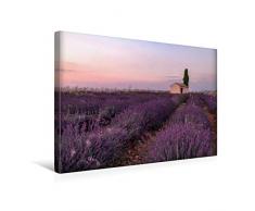 Premium Textil-Leinwand 45 x 30 cm Quer-Format Provence, Lavendelzeit in Südfrankreich | Wandbild, HD-Bild auf Keilrahmen, Fertigbild auf hochwertigem Vlies, Leinwanddruck von Joana Kruse