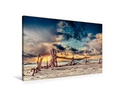 Premium Textil-Leinwand 90 x 60 cm Quer-Format Treibholz Skulptur | Wandbild, HD-Bild auf Keilrahmen, Fertigbild auf hochwertigem Vlies, Leinwanddruck von Dirk Wiemer