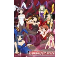 Great Eastern Entertainment Suzumiya Haruhi Bunny Mädchen Wall Scroll, 33 von Blumenkasten