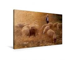 Premium Textil-Leinwand 75 x 50 cm Quer-Format Hirte und Herde | Wandbild, HD-Bild auf Keilrahmen, Fertigbild auf hochwertigem Vlies, Leinwanddruck von H.T.Manfred Zimmermann