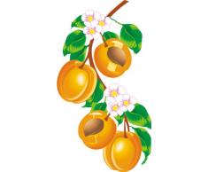 INDIGOS 4051719807936 Wandtattoo ME118 Pfirsich Tribal Ast Pflanze Blume 96 x 53 cm