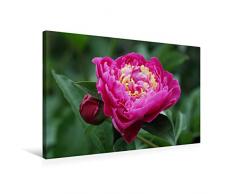 Premium Textil-Leinwand 75 cm x 50 cm quer Pfingstrose