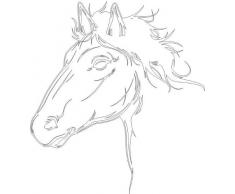 INDIGOS 4051095055792 Wandtattoo w616 Pferd 120 x 66 cm Wandaufkleber in 3 Größen, weiß