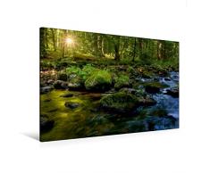 Calvendo Premium Textil-Leinwand 120 cm x 80 cm quer, EIN Bach im Harz | Wandbild, Bild auf Keilrahmen, Fertigbild auf echter Leinwand, Leinwanddruck Menschen Menschen