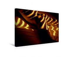 Premium Textil-Leinwand 45 cm x 30 cm quer, Ein Motiv aus dem Kalender MÃNNER - AKTE ZWISCHEN KRAFT UND SINNLICHKEIT | Wandbild, Bild auf Keilrahmen. Leinwand, Leinwanddruck (CALVENDO Menschen);CALVENDO Menschen