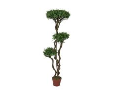 EUROPALMS 82511510 Bonsai 130 cm Mehrfarbig Einheitsgröße