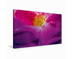 Premium Textil-Leinwand 75 x 50 cm Quer-Format FARBENHARMONIE Botanischer Garten Montreal | Wandbild, HD-Bild auf Keilrahmen, Fertigbild auf hochwertigem Vlies, Leinwanddruck von Philippe Henry