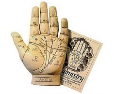 Handlesen Hand Modell Skulptur aus Kunstharz Wahrsagen Palm Lesung mit Booklet