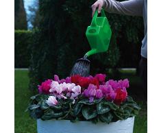 Dimartino Flow Gießkanne, Orange, One Size, 12 Liter