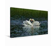 Premium Textil-Leinwand 75 x 50 cm Quer-Format Romantik Pur! | Wandbild, HD-Bild auf Keilrahmen, Fertigbild auf hochwertigem Vlies, Leinwanddruck von RenÃ© Schaack