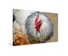 Premium Textil-Leinwand 120 cm x 80 cm quer Hahn im Korb