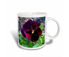3dRose Reichhaltige Tief Burgund Pansy-Magic verwandelt Kaffeebecher, Keramik, Mehrfarbig, 10,2 x 7,62 x 9,52 cm