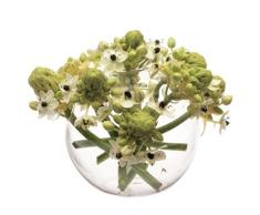 Chive Hudson 3, Glas Kugel Vase, transparent