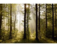 AG Design FTS 0181 Morgen Wald, Papier Fototapete - 360x254 cm - 4 teile, Papier, multicolor, 0,1 x 360 x 254 cm