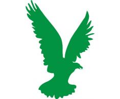 INDIGOS 4051095003953 Wandtattoo w066 Adler / Vogel 120 x 79 cm, grün