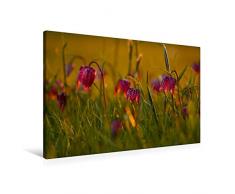 Premium Textil-Leinwand 90 x 60 cm Quer-Format Kleine Laternen - Schachbrettblumen im Abendlicht | Wandbild, HD-Bild auf Keilrahmen, Fertigbild auf hochwertigem Vlies, Leinwanddruck von Pörli Won