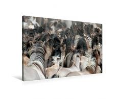Premium Textil-Leinwand 90 cm x 60 cm quer, Dülmener Wildpferde - Gefährdete Nutztierrasse | Wandbild, Bild auf Keilrahmen, Fertigbild auf echter Leinwand, Leinwanddruck: Wilde Herde (CALVENDO Tiere);CALVENDO Tiere
