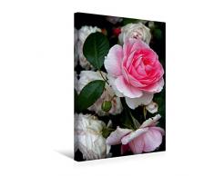 Premium Textil-Leinwand 30 x 45 cm Hoch-Format Wunderschöne Rosen im Garten | Wandbild, HD-Bild auf Keilrahmen, Fertigbild auf hochwertigem Vlies, Leinwanddruck von Martina Cross