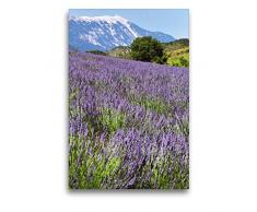 Calvendo Premium Textil-Leinwand 50 cm x 75 cm hoch, Lavdendel am Mont Ventoux | Wandbild, Bild auf Keilrahmen, Fertigbild auf echter Leinwand, Leinwanddruck: Kalender Provence Momente Orte Orte