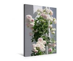 Premium Textil-Leinwand 50 cm x 75 cm hoch Kletterrose Sabrina