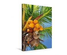 Premium Textil-Leinwand 50 x 75 cm Hoch-Format KokosnÃ¼sse an der Palme | Wandbild, HD-Bild auf Keilrahmen, Fertigbild auf hochwertigem Vlies, Leinwanddruck von Frank Hornecker