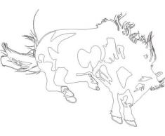 INDIGOS 4051095050032 Wandtattoo W606 feueriges Pferd 80 x 44 cm, Wandaufkleber in 3 Größen, weiß