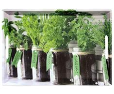 Kesper Serviertablett, 77334, Motiv: Herbs, MaÃe: 50 x 35 x 4, 5 cm