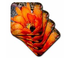 3dRose CST_32391_2 Dekorative Bunte Garten Classic Plant SW Southwest Wüste Kaktus Rot Orange Regen Blume Makro Soft Untersetzer Set von 8