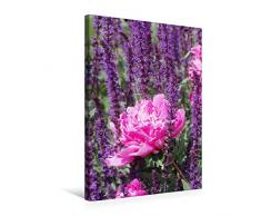 Premium Textil-Leinwand 50 cm x 75 cm hoch Pinke Pfingstrose