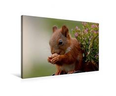 Premium Textil-Leinwand 75 x 50 cm Quer-Format Eichhörnchen Kinder - Strahlende Kinderaugen | Wandbild, HD-Bild auf Keilrahmen, Fertigbild auf hochwertigem Vlies, Leinwanddruck von Tine Meier