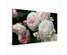 Premium Textil-Leinwand 75 x 50 cm Quer-Format Rosen im Garten | Wandbild, HD-Bild auf Keilrahmen, Fertigbild auf hochwertigem Vlies, Leinwanddruck von Martina Cross