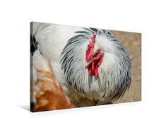 Premium Textil-Leinwand 75 x 50 cm Quer-Format Hahn im Korb | Wandbild, HD-Bild auf Keilrahmen, Fertigbild auf hochwertigem Vlies, Leinwanddruck von Irk Boockhoff